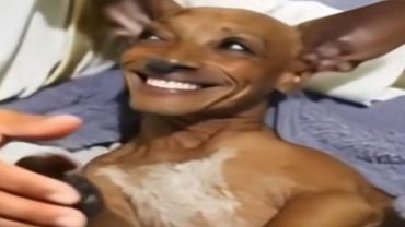 you laugh 2 times, you restart