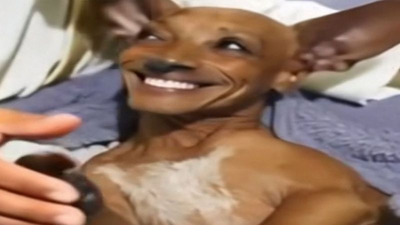 you laugh 2 times, you restart