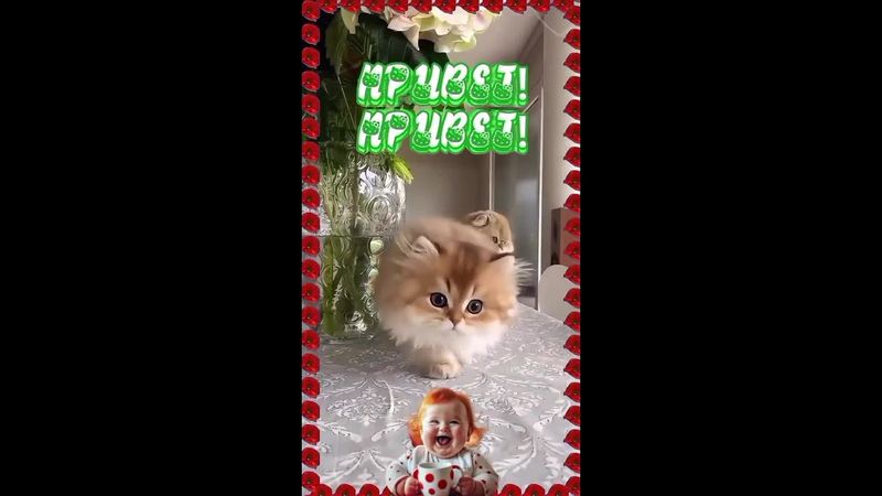 Пожалуйста, поддержите мой труд - поставьте лайк и подпишитесь на мой канал с открытками! Я буду ...