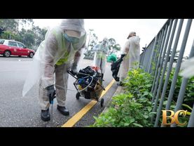 Hong Kong to unleash mosquito-killing robot dogs to combat Chikungunya virus