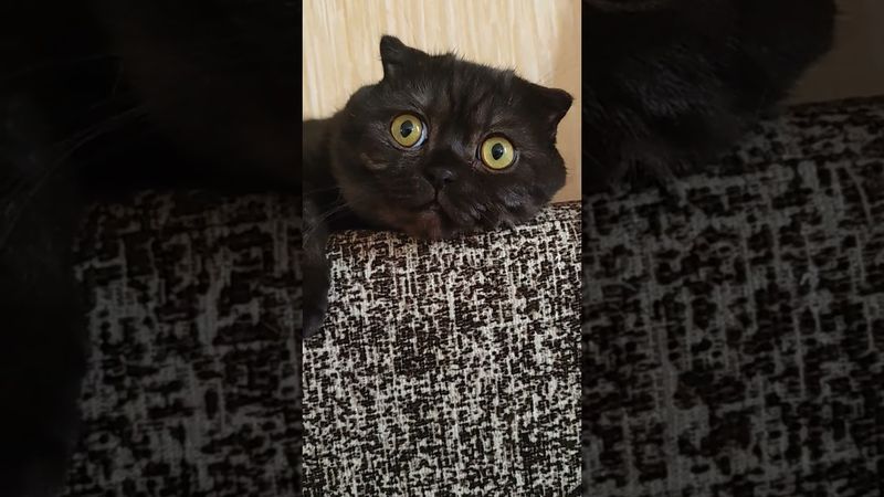 17 декабря 2025 г.