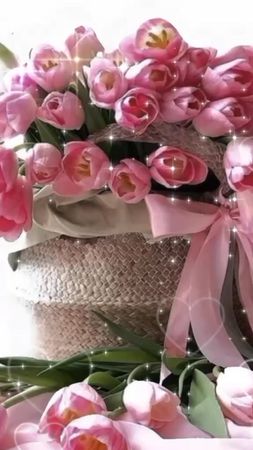 TikTok video #7050377170937564418