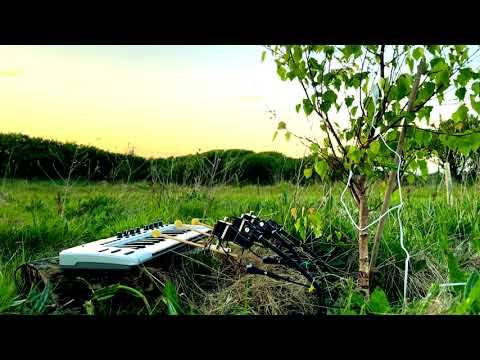 Birch Tree Playing a Keyboard