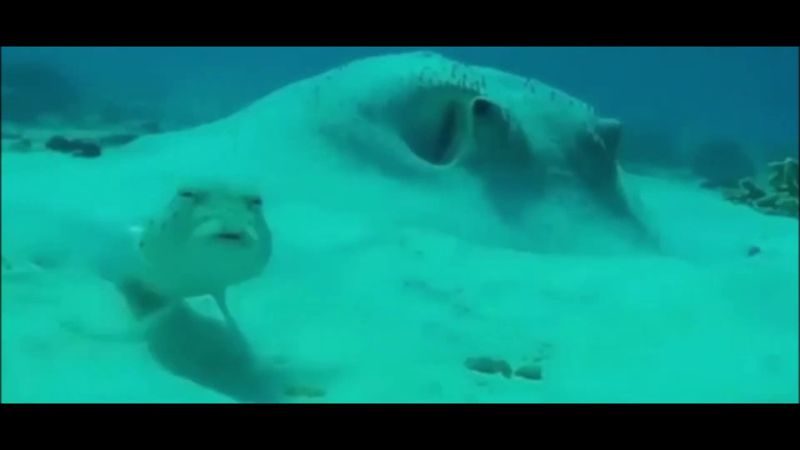 Мем | Рыба  говорит: "че за хуйня?". Оригинал мема