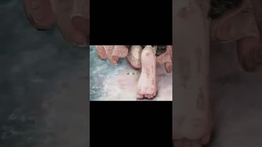 "Why Shree Ji Is the Hidden Gem We All Need!"