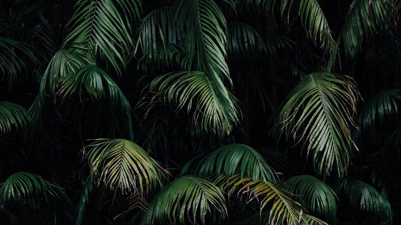 Курс «Доврачебная помощь» 3