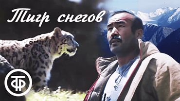 Тигр снегов. Художественный фильм (1987)