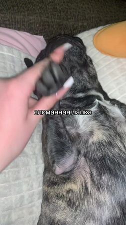 TikTok video #7591623631638203704