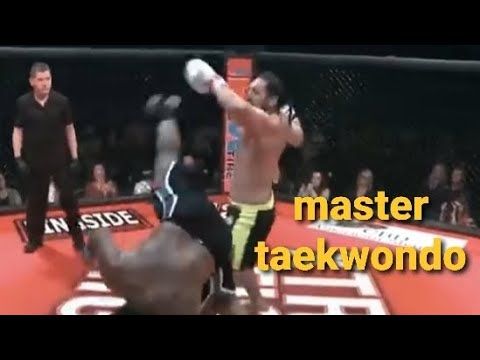 Master Taekwondo
