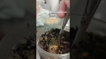 ПОПРОСИЛА ЧАЙ | tiktok: ha1mecte