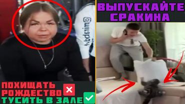 🤣Лютые КОММЕНТАРИИ! Подборка ПРИКОЛОВ, когда КОММЕНЫ СМЕШНЕЕ ВИДЕО. Зачем ДЕНЬ ЛИЦА пропускать?