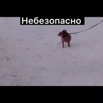 #а что было дальше не кто не узнает)#VKPayВсемиРуками #realmeWishList...