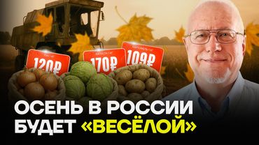 ЛИПСИЦ: Осень в России будет «весёлой»
