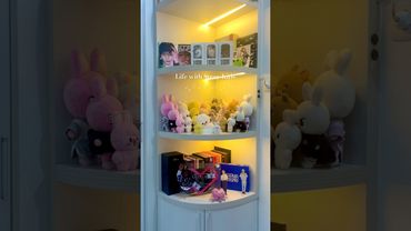 Life with Stray Kids (merch) 🥰 #straykids #skzoo #straykidsalbum