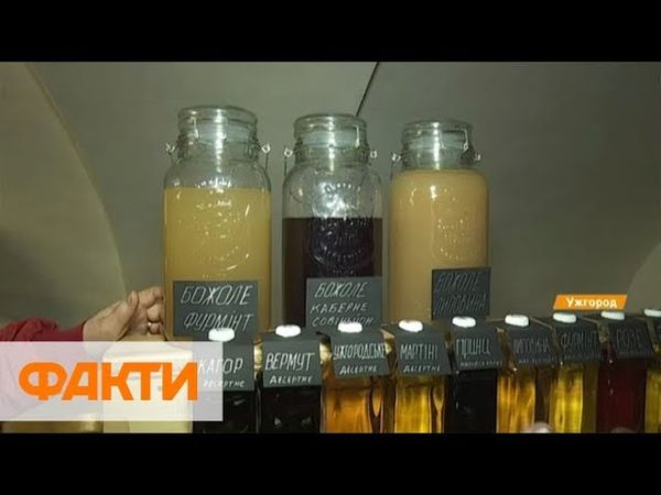 Праздник молодого вина на Закарпатье: чем угощают и цены