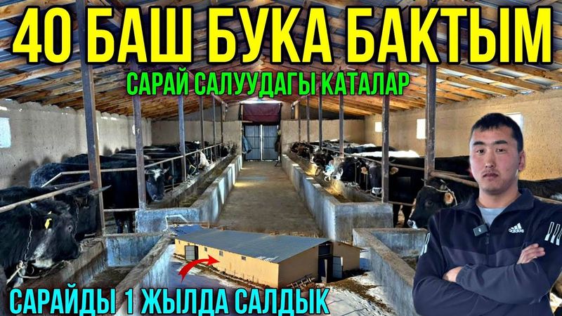САРАЙДЫ ЮТУБТАН КӨРҮП САЛДЫМ| ЖАШ ИШКЕР КУБАТ #байтв