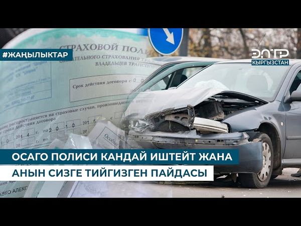 ОСАГО ПОЛИСИ КАНДАЙ ИШТЕЙТ ЖАНА АНЫН СИЗГЕ ТИЙГИЗГЕН ПАЙДАСЫ