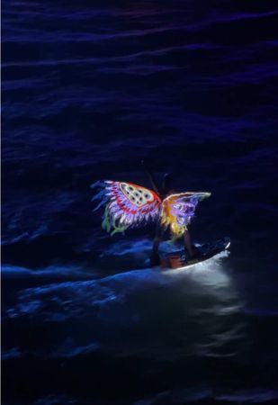 Night show in Phu Quoc😍✨ #symphonyoftheseas #symphony #phuquoc #phuqu...