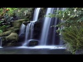 Музыка для медитации без авторских прав 2021