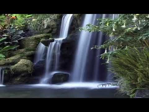 Музыка для медитации без авторских прав 2021