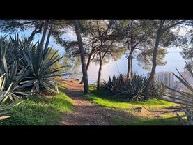 MALAGA LIVE (december 28, 2025)