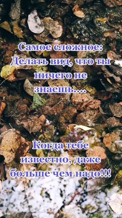 #правда #сложно #предательство #боль #всезнаю #слезы