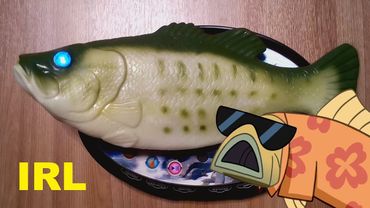 Я лосось поющий, на пляжу лежущий