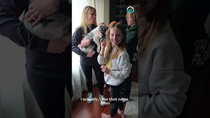 New Dog Joins the Family || ViralHog