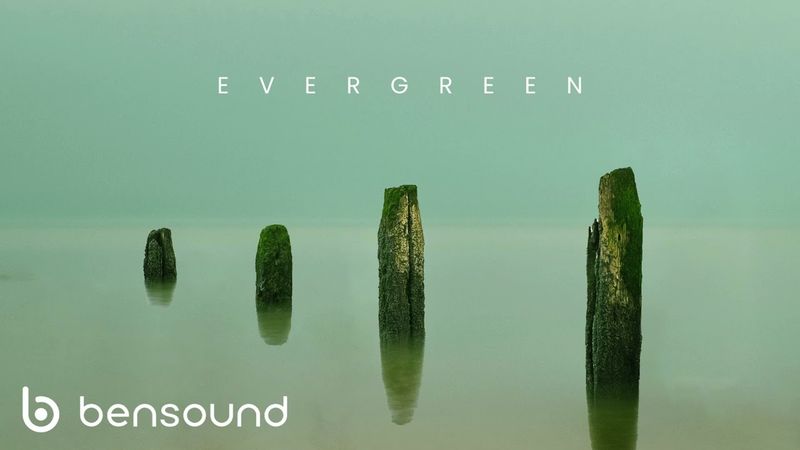 Dawn Of Change - Roman Senyk - Bensound