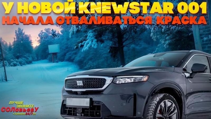У новой Knewstar 001 (Тугелла) отваливается краска.