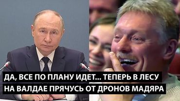 Да, все по плану идет... ТЕПЕРЬ В ЛЕСУ НА ВАЛДАЕ ПРЯЧУСЬ ОТ ДРОНОВ МАДЯРА