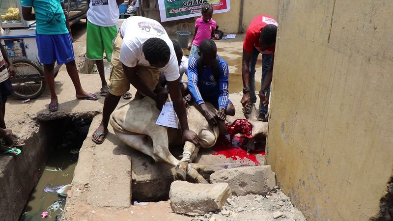 Ghana Qurban 2017 039
