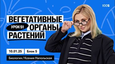 Вегетативные органы растений | Биофак 2025 | Урок 51