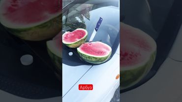 Дарбыз 29 май