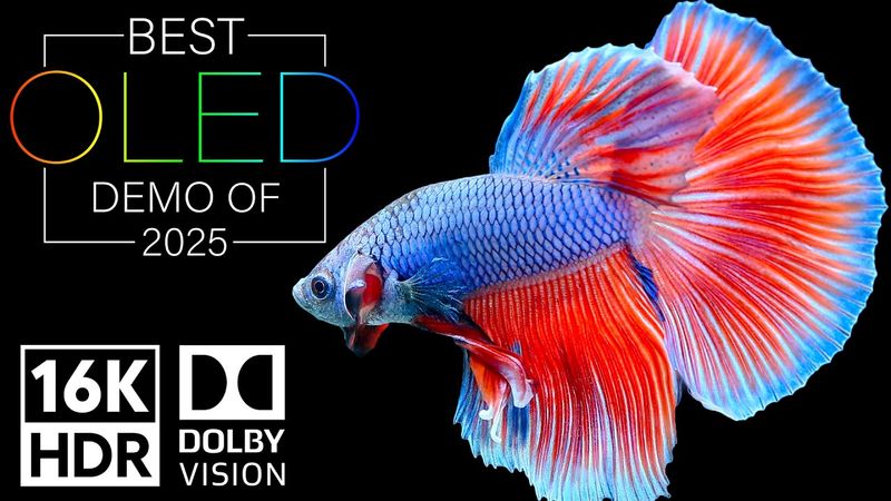 Dolby Vision 16K HDR 120fps EXPOSED - The Best OLED DEMO of 2025