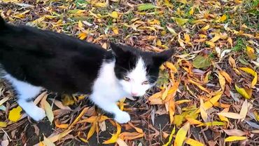 #Славянск. 3 ноября 2025г. Вечер.