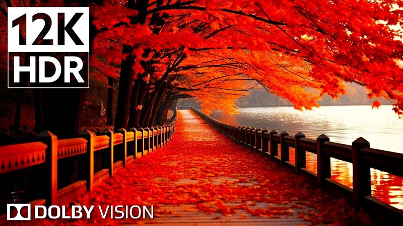 Heaven On Earth: 12K HDR 240fps Dolby Vision [2024] BGM