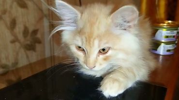 #Славянск. 18 августа 2025г. Вечер.