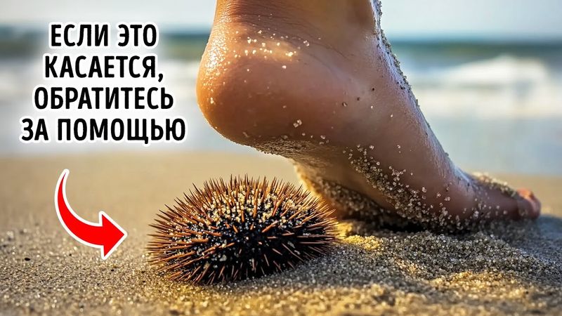 Необычные обитатели глубин: факты, которые вас удивят