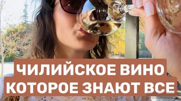 Самая известная винодельня Чили или как мы напились с утра + ENG SUB