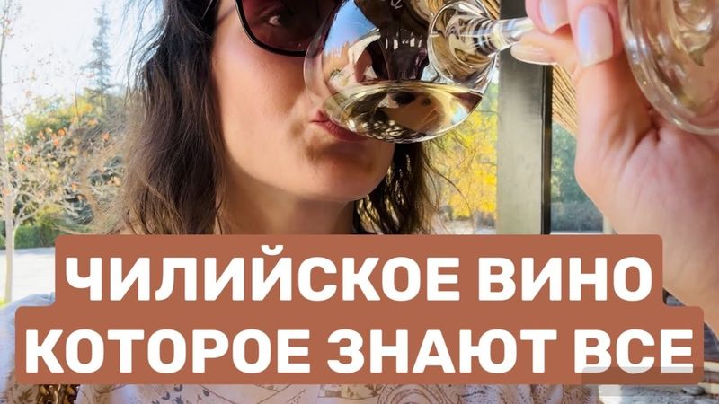 Самая известная винодельня Чили или как мы напились с утра + ENG SUB