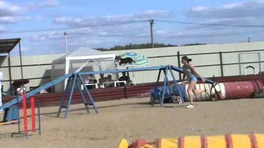 ЧР РЛК 2014 г. Аджилити-двоеборье. Финал. "Мини". Соловьева-Арабелла (Пермь) 1 место