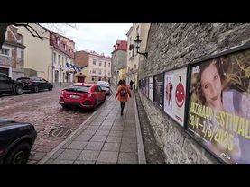 Переехать в Эстонию - плохая идея