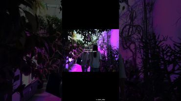 fall in love again and again #shorts