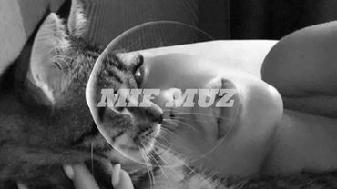 Love Me Hate Me - Kisabu