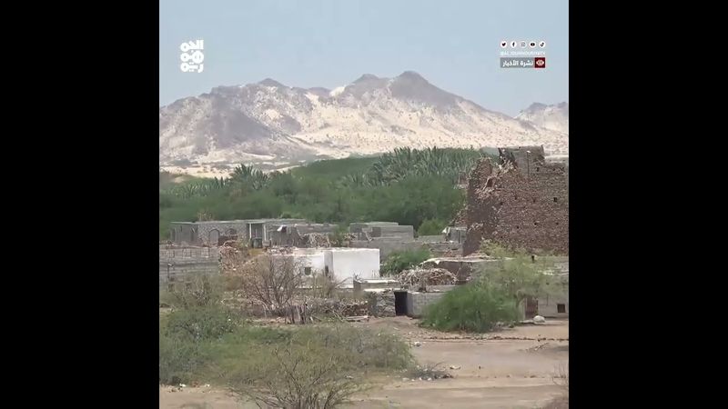 مليشيا الحوثي تقتل راعي أغنام غربي شبوة