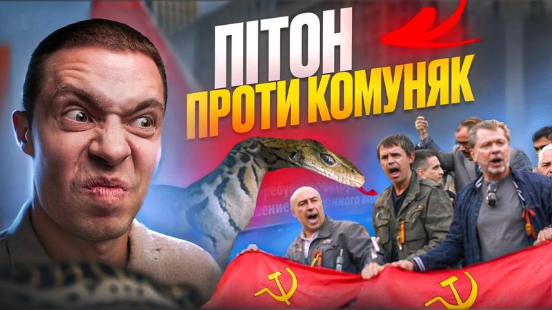 ПІТОН ВБИВЦЯ 😱 (а також генератор та матрац) #ПРЕМІЯДАРВІНА