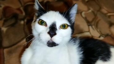 #Славянск. 6 сентября 2025г. Утро. Обстрел Славянска во время съёмки...