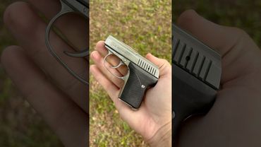 Seecamp 25 acp restricted edition