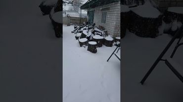 Пора спросить